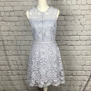 NWT Ted Baker Lace Overlay Dress